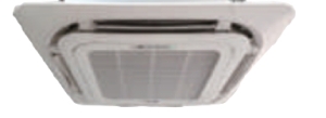 TICA TM11