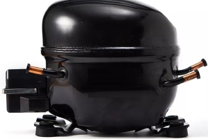 Wansheng QD91Y R600a 155W LBP